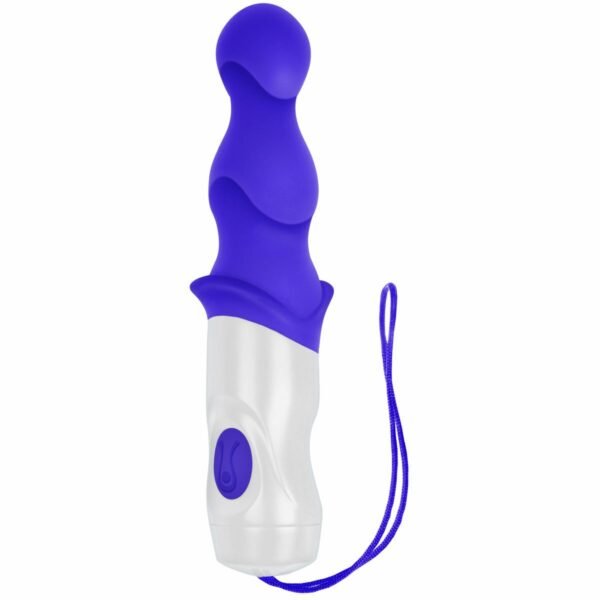 Evolved Cassini Anal Vibrator Black Purple