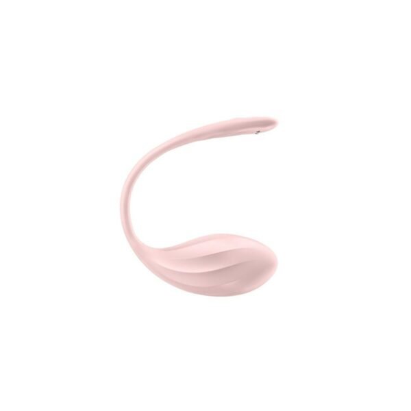 Satisfyer Bullet Vibrator