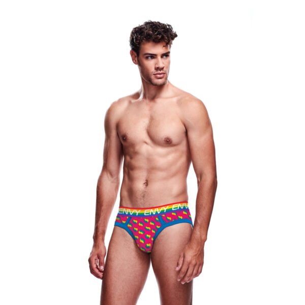Envy Classic underpants Multicolour S/M