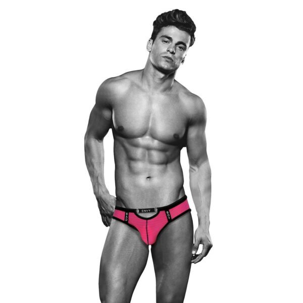 Envy Classic underpants Pink M/L