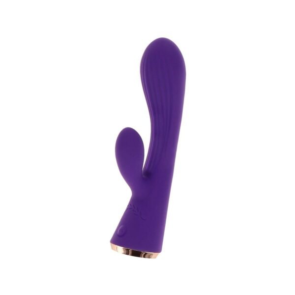 Toy Joy Vibrator